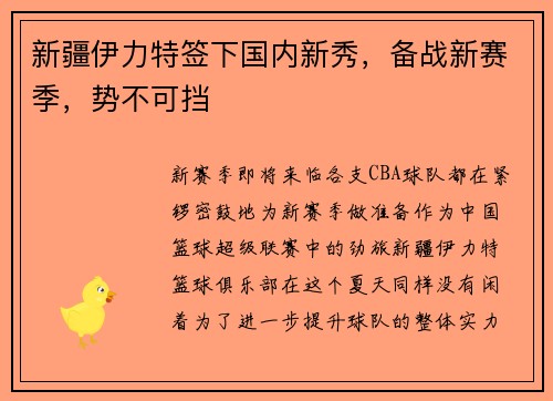 新疆伊力特签下国内新秀，备战新赛季，势不可挡