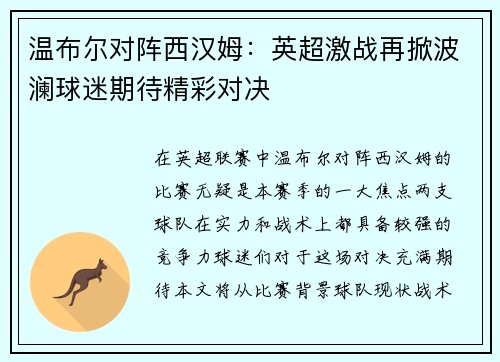 温布尔对阵西汉姆：英超激战再掀波澜球迷期待精彩对决