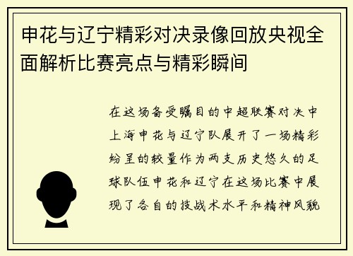 申花与辽宁精彩对决录像回放央视全面解析比赛亮点与精彩瞬间