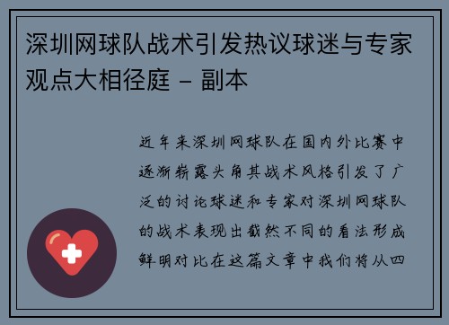 深圳网球队战术引发热议球迷与专家观点大相径庭 - 副本