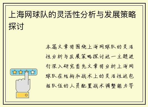 上海网球队的灵活性分析与发展策略探讨